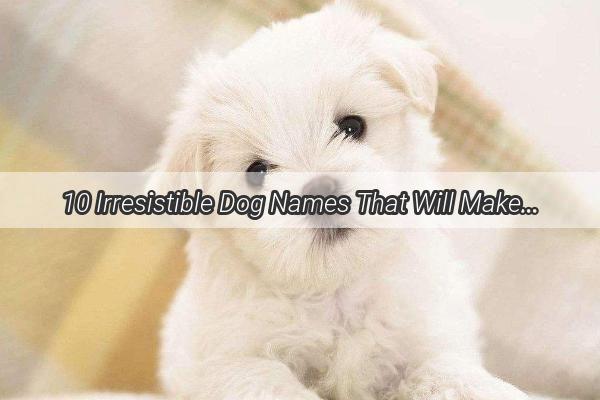 10 Irresistible Dog Names That Will Make Your Pup the Star of the Neighborhood